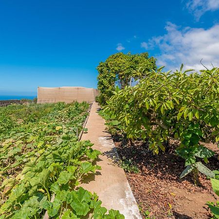 Casa Rural Finca Las Dulces Chío Eksteriør billede