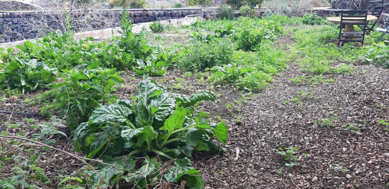 Casa Rural Finca Las Dulces Chío Eksteriør billede