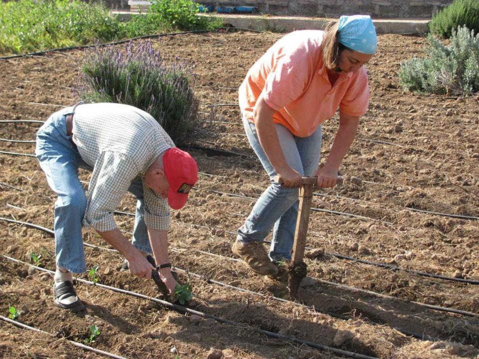 Casa Rural Finca Las Dulces Chío Eksteriør billede
