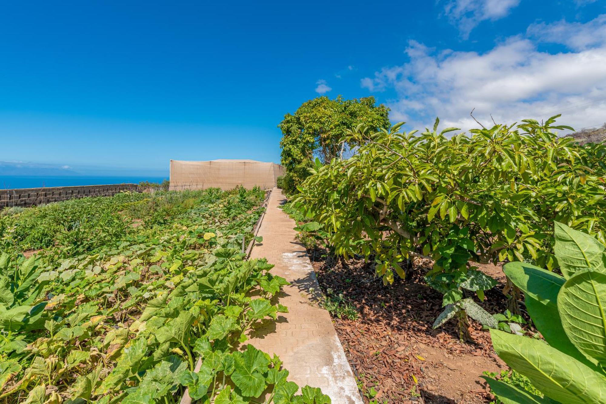Casa Rural Finca Las Dulces Chío Eksteriør billede
